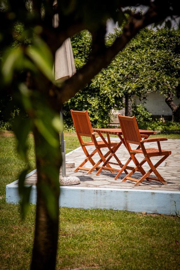 Zeusplace Poolvilla Natura Paralia Kateríni Dış mekan fotoğraf